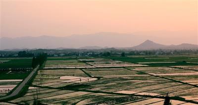 汶上縣南旺鎮(zhèn)田樓等九村土地整治項目