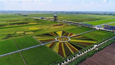 山東綠鑫春生態(tài)農(nóng)業(yè)發(fā)展有限公司運(yùn)動休閑基地2020A5號宗地